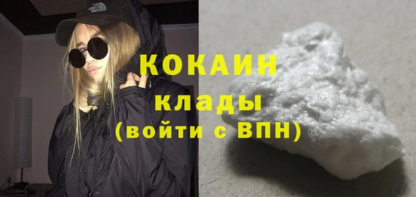 индика Баксан