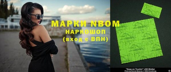 индика Баксан