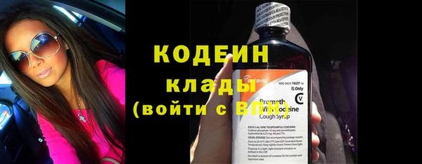 индика Баксан