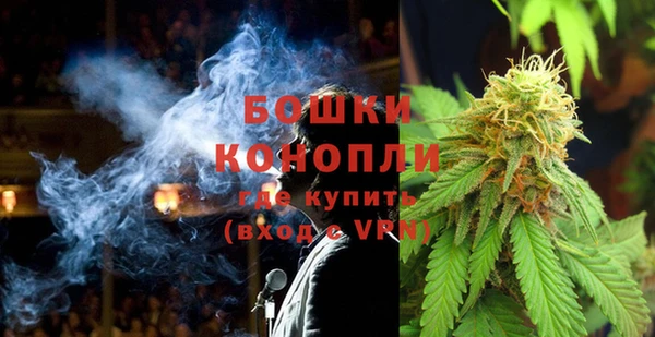 индика Баксан