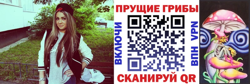Псилоцибиновые грибы MAGIC MUSHROOMS  МЕГА сайт  Владимир 
